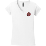 Apple Core Softstyle Ladies Fit V-Neck T-Shirt
