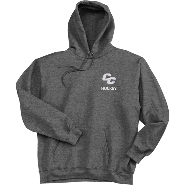 Curry College Ultimate Cotton - Pullover Hooded Sweatshirt